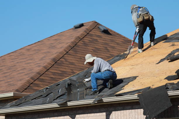 Best Green or Eco-Friendly Roofing Solutions  in Churchill, PA