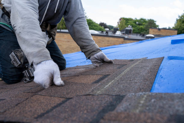 Best Metal Roofing Installation  in Churchill, PA